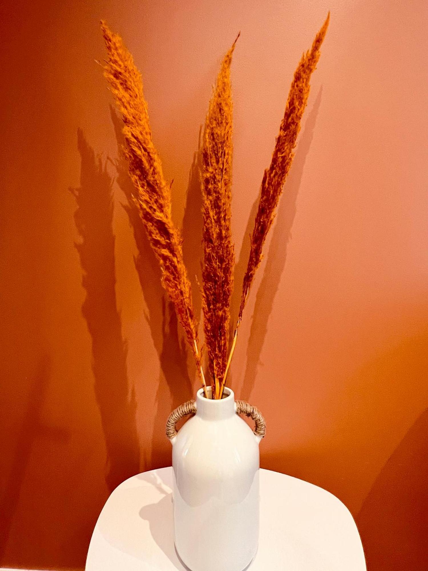 Le Terra Rossa - Homy Apartment Carhaix-Plouguer